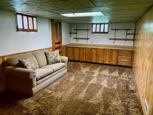 455 113th Ave NW, Coon Rapids, MN 55448 - bar area featuring wood walls and carpet