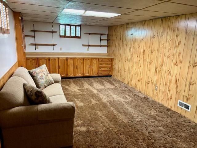 455 113th Ave NW, Coon Rapids, MN 55448 - living area featuring carpet floors and wood walls