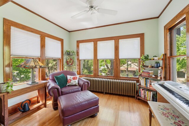 3229 Fremont Ave S, Minneapolis, MN 55408 - sunroom / solarium with radiator heating unit