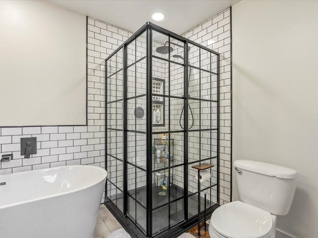 5335 Pine Beach Rd, Brainerd, MN 56401 - full bathroom featuring tile walls, a shower stall, toilet, a soaking tub, and recessed lighting