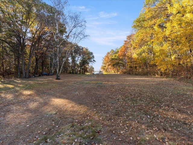 5335 Pine Beach Rd, Brainerd, MN 56401 - view of yard with a wooded view