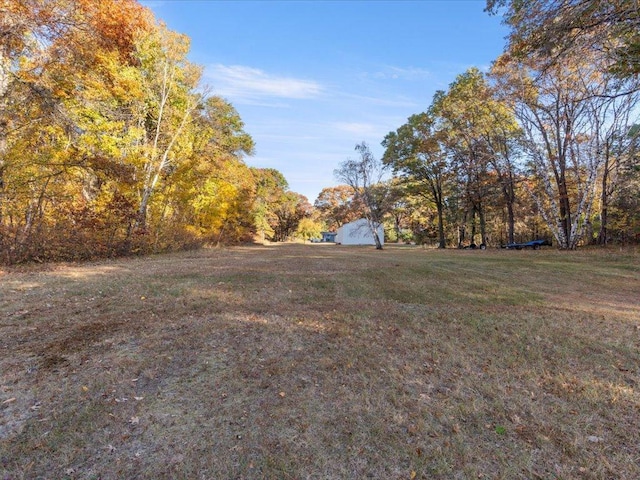 5335 Pine Beach Rd, Brainerd, MN 56401 - view of grassy yard