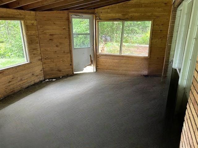 31074 State Highway 65, Greenway Twp, MN 55775 - unfurnished room featuring wooden walls