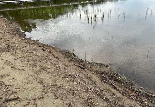 31074 State Highway 65, Greenway Twp, MN 55775 - water view