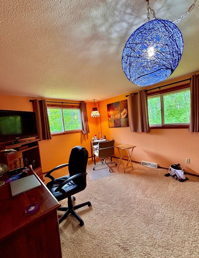 4488 Konieska Rd, Moose Lake, MN 55767 - office with carpet flooring and a textured ceiling