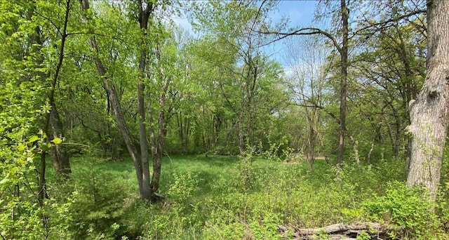1XXNHICKORYST Linden St, Royalton, MN 56373