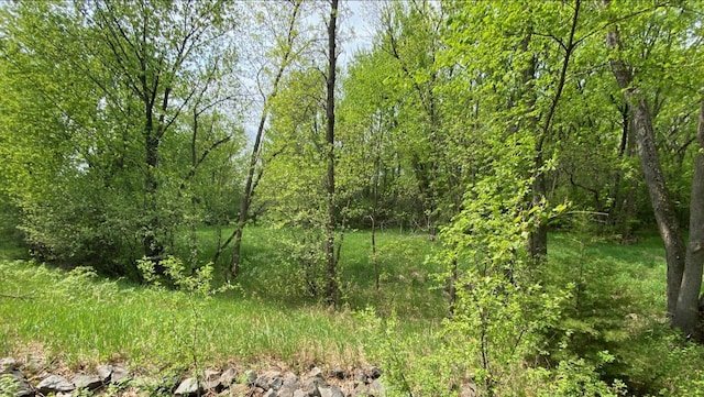 1XXNHICKORYST Linden St, Royalton, MN 56373