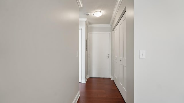 3540 Hennepin Ave Unit 309, Minneapolis, MN 55408 - corridor with a textured ceiling, ornamental molding, dark wood-style flooring, and baseboards