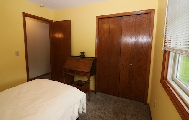 7971 Upper 145th St W, Apple Valley, MN 55124 - carpeted bedroom featuring a closet