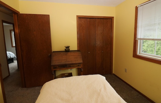 7971 Upper 145th St W, Apple Valley, MN 55124 - carpeted bedroom with a closet and baseboards