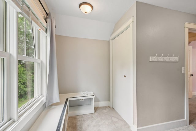 2256 40th Ave Unit X, East Farmington, WI 54020 - corridor featuring light colored carpet, plenty of natural light, and baseboards