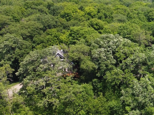 32813 Whispering Springs Loop, Erhard, MN 56534 - drone / aerial view of a forest