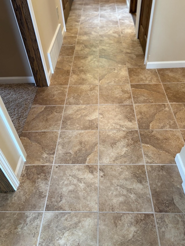 32813 Whispering Springs Loop, Erhard, MN 56534 - detailed view of baseboards