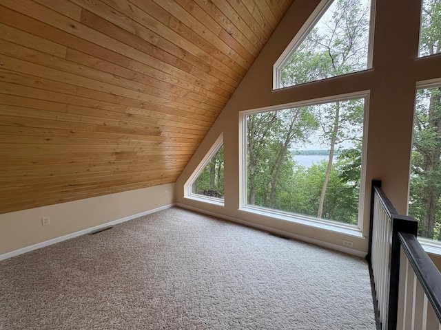 32813 Whispering Springs Loop, Erhard, MN 56534 - additional living space with lofted ceiling, wood ceiling, a water view, and carpet floors