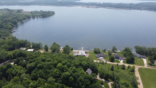 32813 Whispering Springs Loop, Erhard, MN 56534 - view of property location featuring a large body of water and a forest