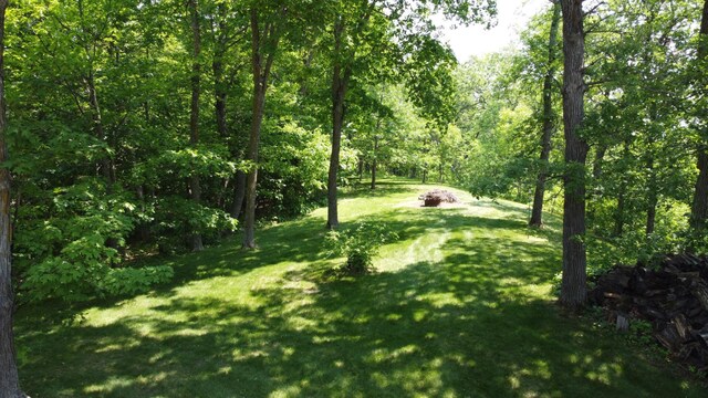 32813 Whispering Springs Loop, Erhard, MN 56534 - view of green lawn with a wooded view and an outdoor fire pit
