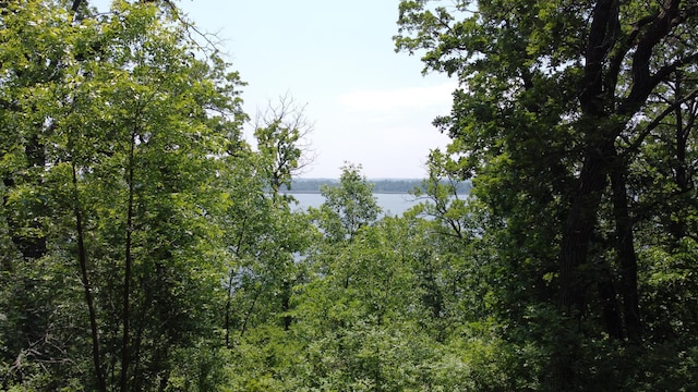 32813 Whispering Springs Loop, Erhard, MN 56534 - water view