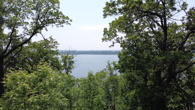 32813 Whispering Springs Loop, Erhard, MN 56534 - water view with a heavily wooded area