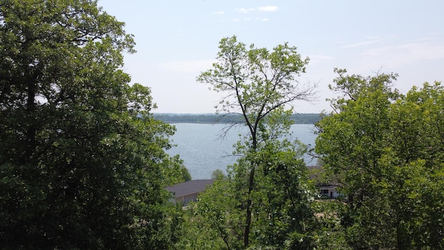 32813 Whispering Springs Loop, Erhard, MN 56534 - water view