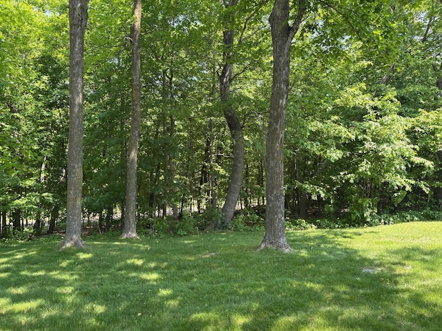 32813 Whispering Springs Loop, Erhard, MN 56534 - view of grassy yard