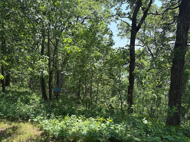 32813 Whispering Springs Loop, Erhard, MN 56534 - view of woods