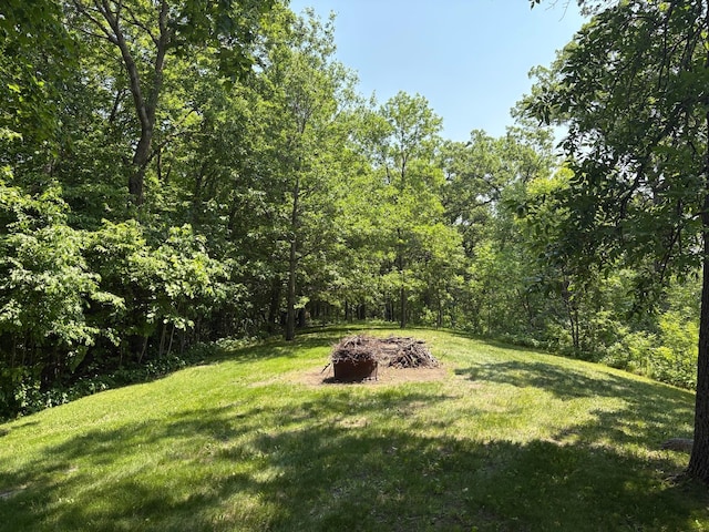 32813 Whispering Springs Loop, Erhard, MN 56534 - view of grassy yard with an outdoor fire pit and a wooded view