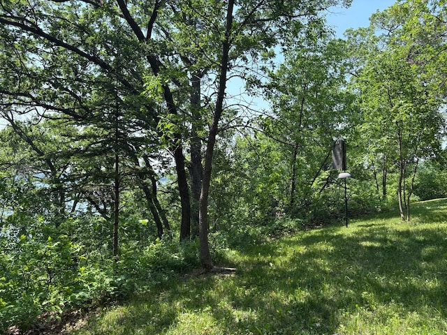 32813 Whispering Springs Loop, Erhard, MN 56534 - view of undeveloped land