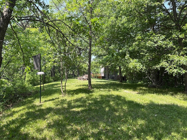 32813 Whispering Springs Loop, Erhard, MN 56534 - view of grassy yard