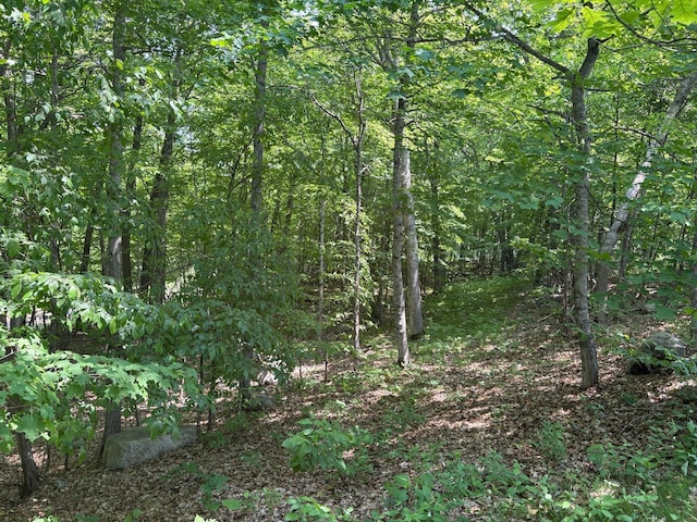 32813 Whispering Springs Loop, Erhard, MN 56534 - view of woods