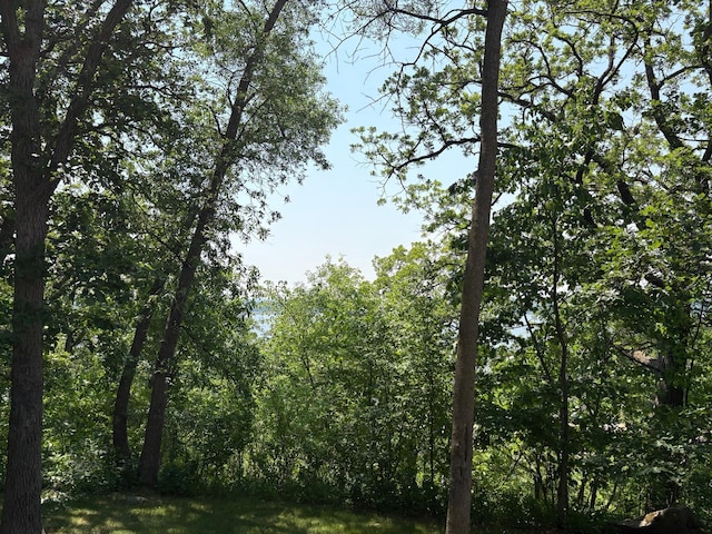 32813 Whispering Springs Loop, Erhard, MN 56534 - view of tree filled area
