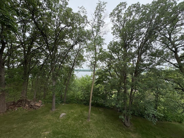 32813 Whispering Springs Loop, Erhard, MN 56534 - view of green lawn with a forest view