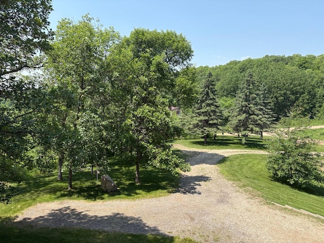 32813 Whispering Springs Loop, Erhard, MN 56534 - view of dirt / gravel road