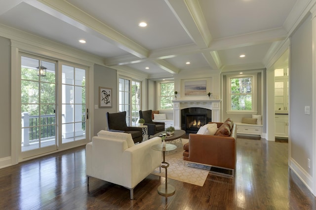 55XX Mcguire Rd, Edina, MN 55439 - living area with plenty of natural light, a glass covered fireplace, ornamental molding, dark wood-type flooring, and beam ceiling