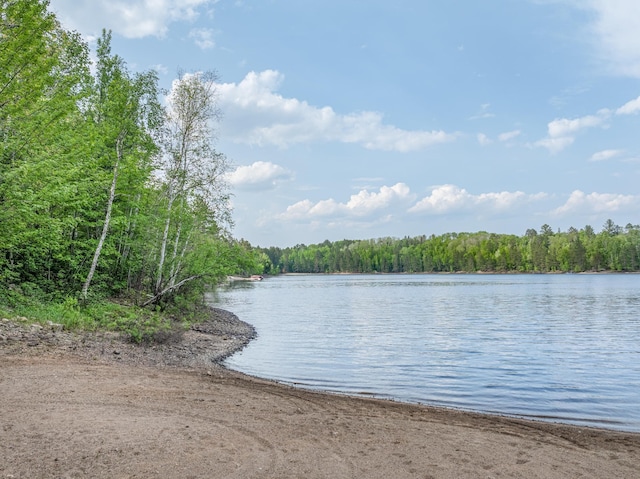 6076 Wynne Ridge Rd, White Twp, MN 55705 - water view featuring a forest
