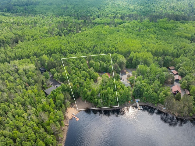 6076 Wynne Ridge Rd, White Twp, MN 55705 - view of property location with a forest, a large body of water, and property boundaries highlighted