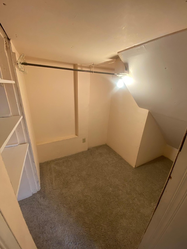 8 Dayton Ave SE, Wadena, MN 56482 - spacious closet featuring carpet floors