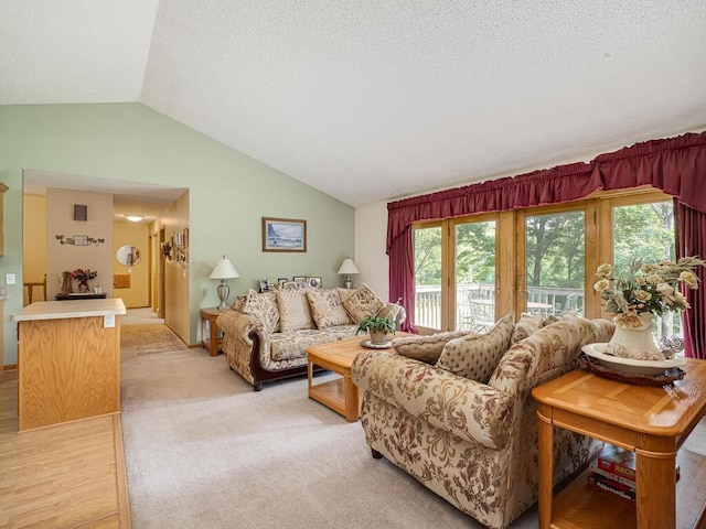 18241 Dahlia St NW, Oak Grove, MN 55011 - living area with vaulted ceiling, plenty of natural light, a textured ceiling, and light carpet
