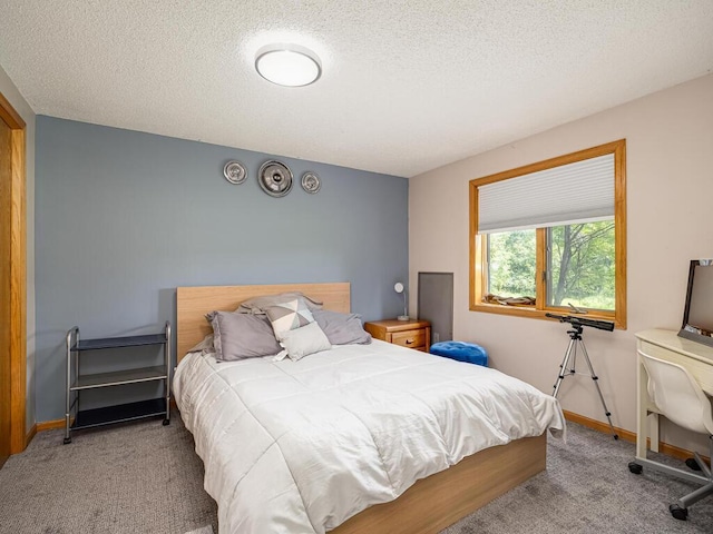 18241 Dahlia St NW, Oak Grove, MN 55011 - bedroom with carpet flooring and a textured ceiling