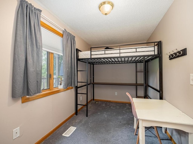 18241 Dahlia St NW, Oak Grove, MN 55011 - unfurnished bedroom featuring carpet floors and a textured ceiling