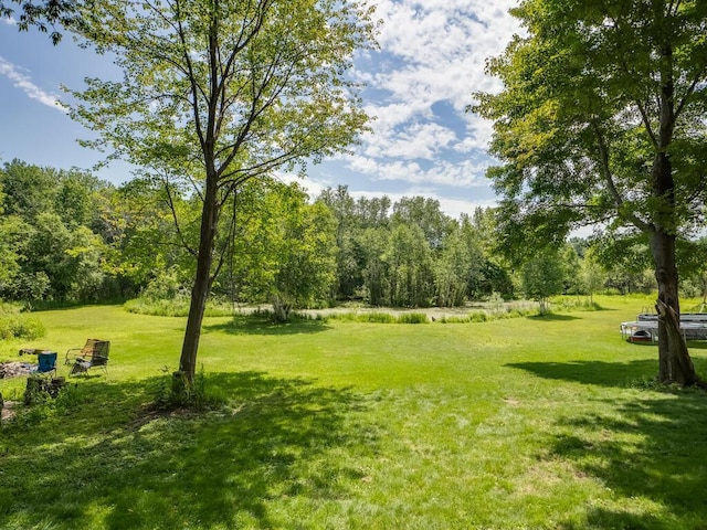 18241 Dahlia St NW, Oak Grove, MN 55011 - view of green lawn
