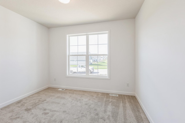 20119 68th Pl, Corcoran, MN 55340 - unfurnished room with carpet floors