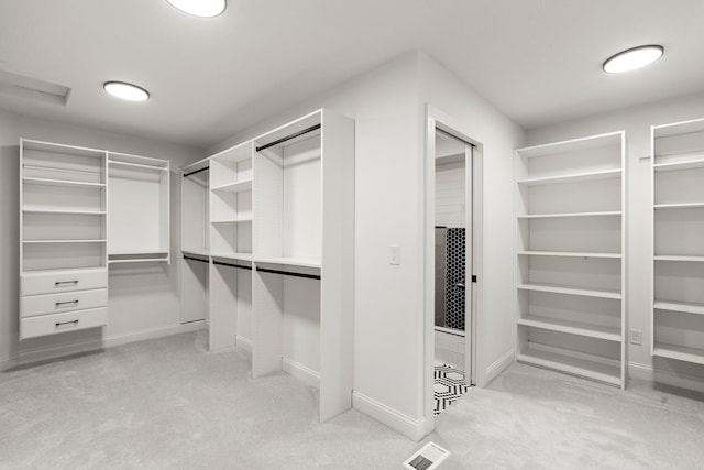 9743 Frontier Ln, Lakeville, MN 55044 - spacious closet featuring light colored carpet