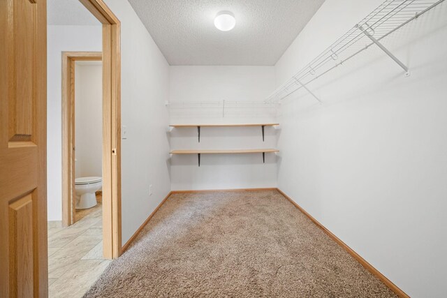 2108 Meadowlark Ln, Shakopee, MN 55379 - photo 20