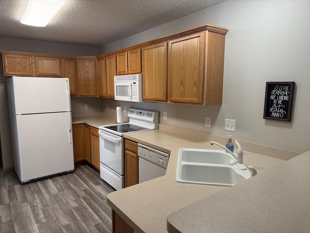 13622 Partridge Cir NW, Andover, MN 55304 - kitchen featuring white appliances, light countertops, wood finished floors, a textured ceiling, and brown cabinetry