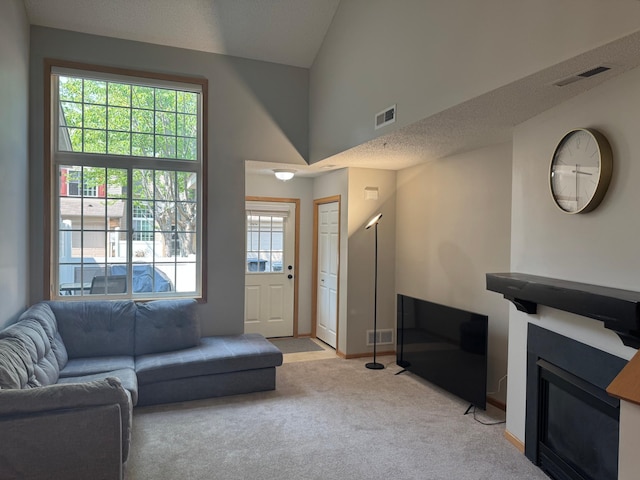 13622 Partridge Cir NW, Andover, MN 55304 - living area with carpet flooring, a glass covered fireplace, and a high ceiling