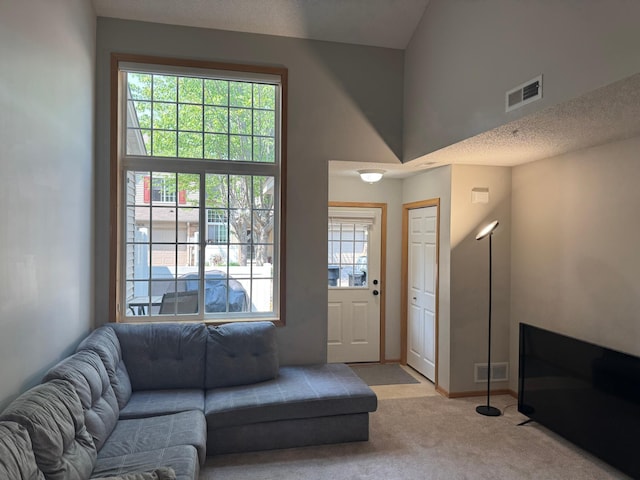 13622 Partridge Cir NW, Andover, MN 55304 - living area with healthy amount of natural light, carpet floors, and a high ceiling