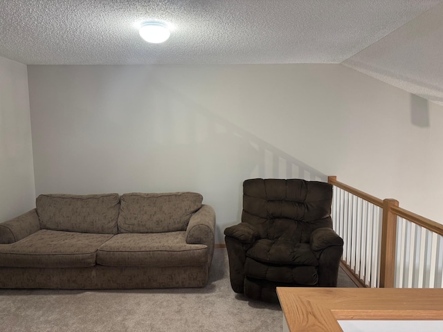 13622 Partridge Cir NW, Andover, MN 55304 - living room featuring a textured ceiling, vaulted ceiling, and carpet flooring