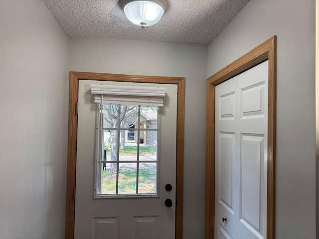 13622 Partridge Cir NW, Andover, MN 55304 - entryway with a textured ceiling and healthy amount of natural light