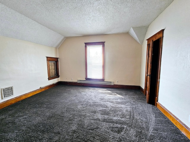 324 Holcombe Ave, Litchfield, MN 55355 - additional living space featuring vaulted ceiling, dark colored carpet, a textured ceiling, and baseboard heating