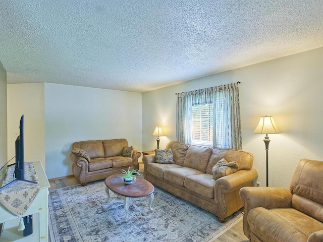 638 Shady Creek Cir, Winsted, MN 55395 - living area with light wood-style flooring and a textured ceiling